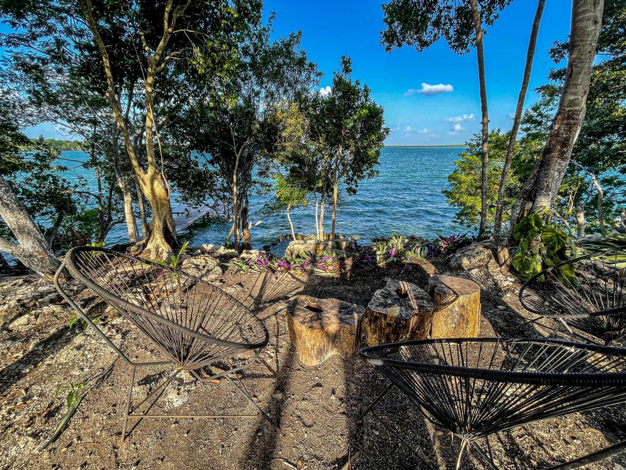 Bufo Alvarius Sanctuary Bacalar Buenavista (Quintana Roo)