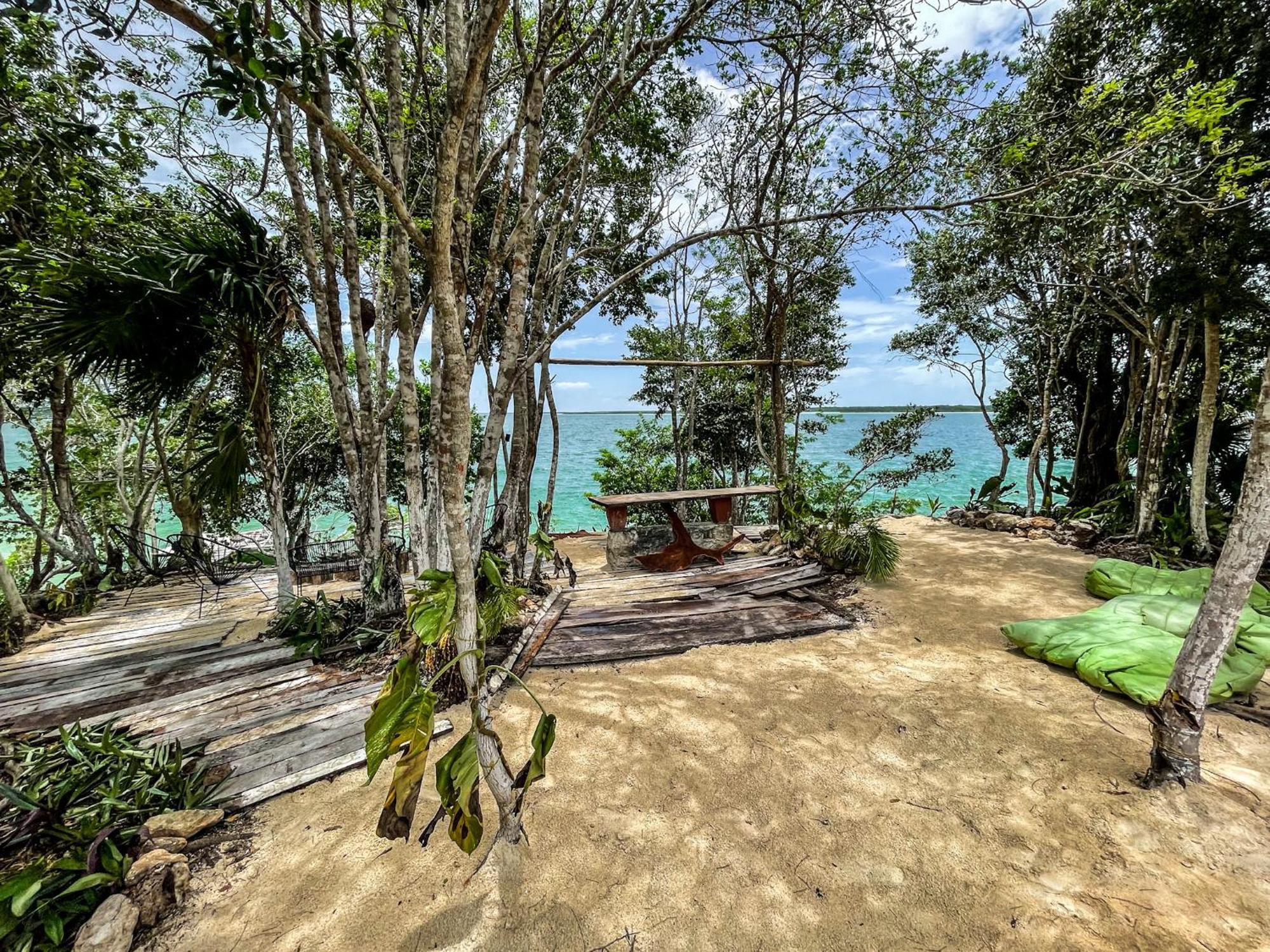 Bufo Alvarius Sanctuary Bacalar *