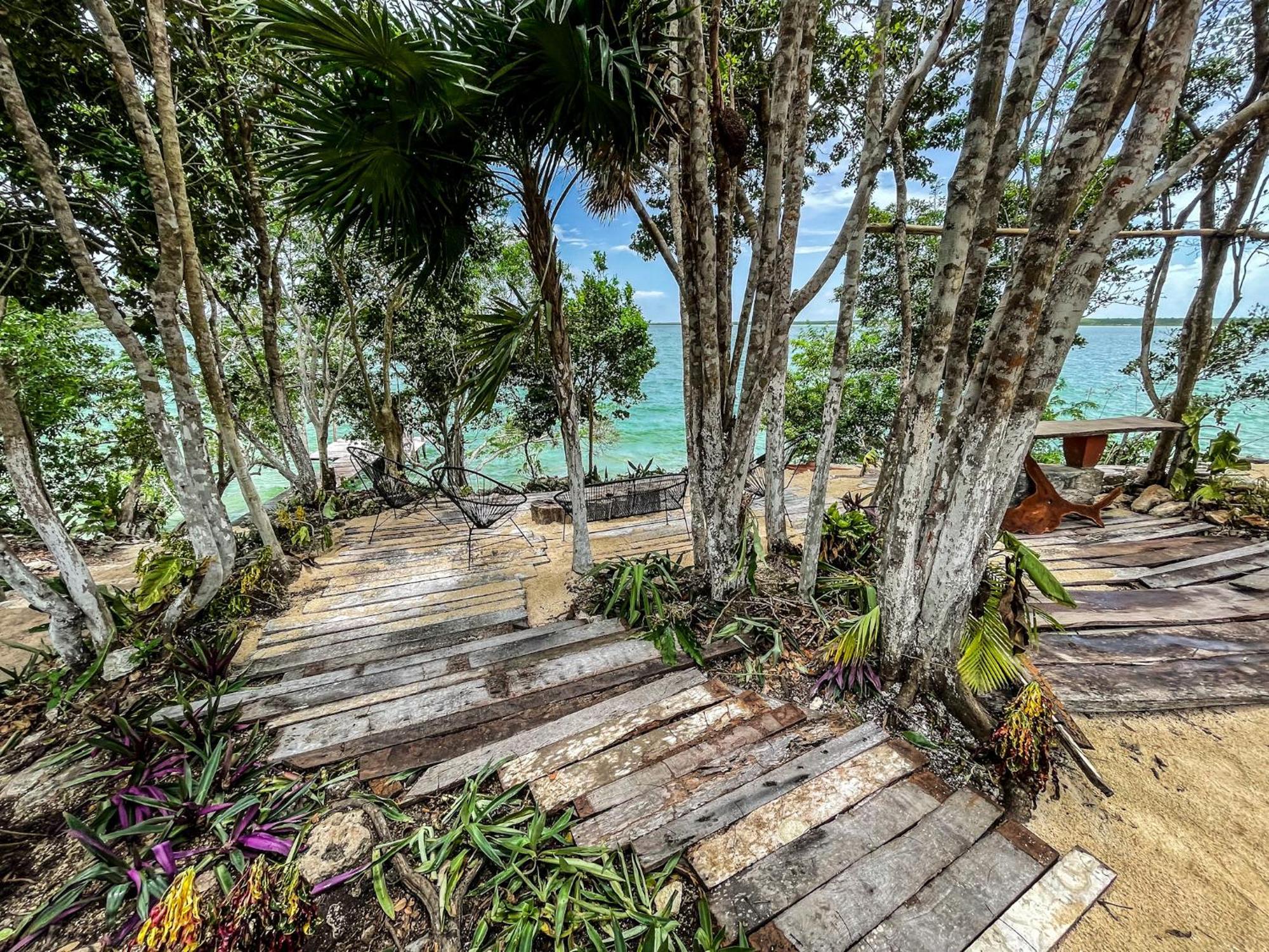 Bufo Alvarius Sanctuary Bacalar