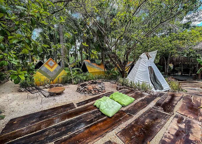 Bufo Alvarius Sanctuary Bacalar